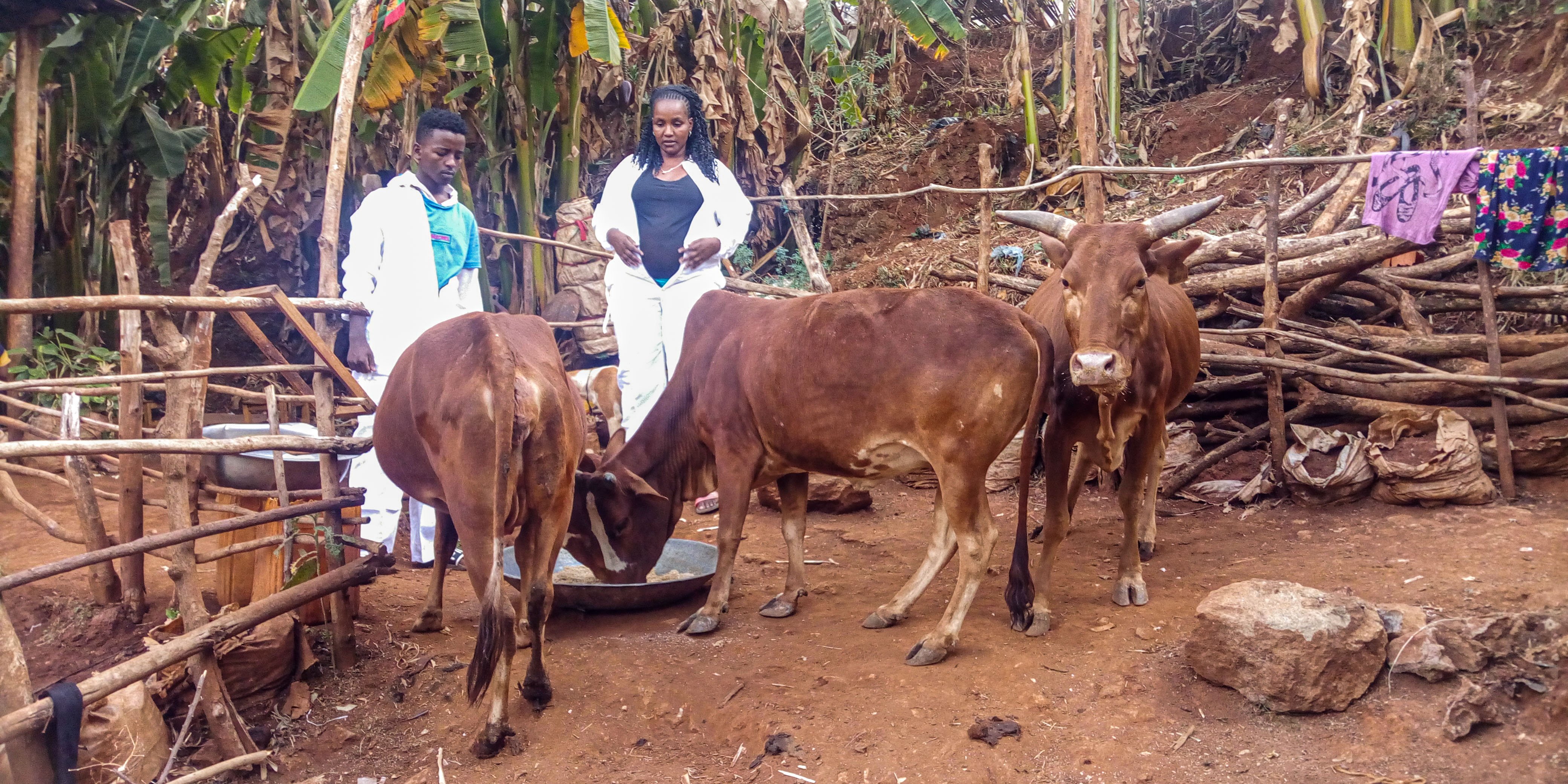 Aster and her boys on Animal Husbandery (1)