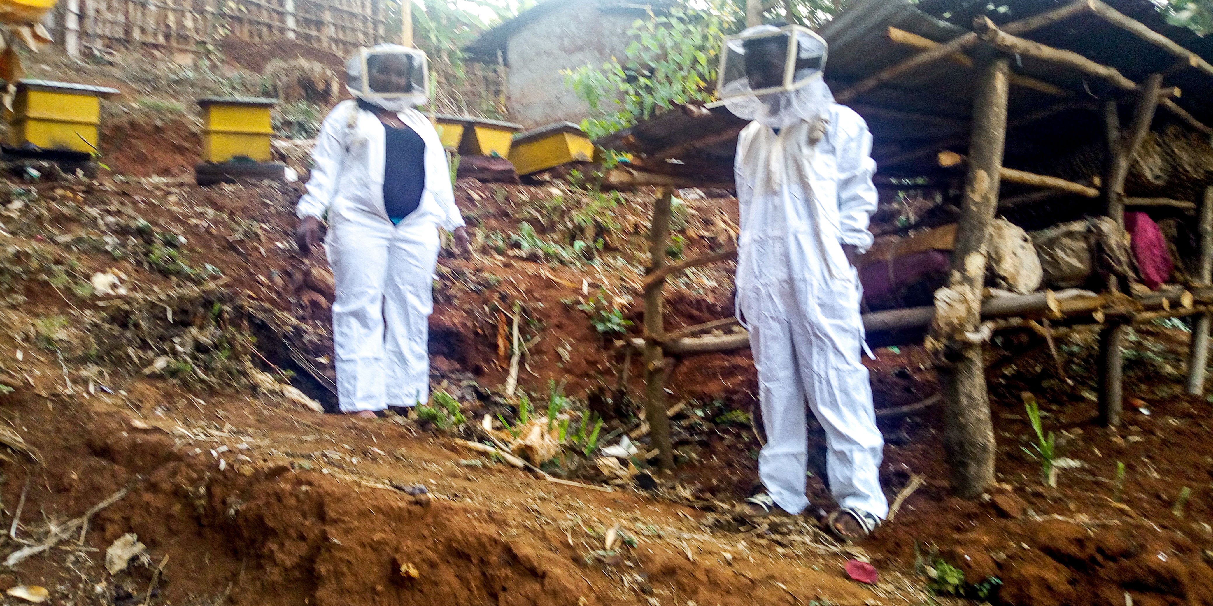 Aster with her Boys in bee farming