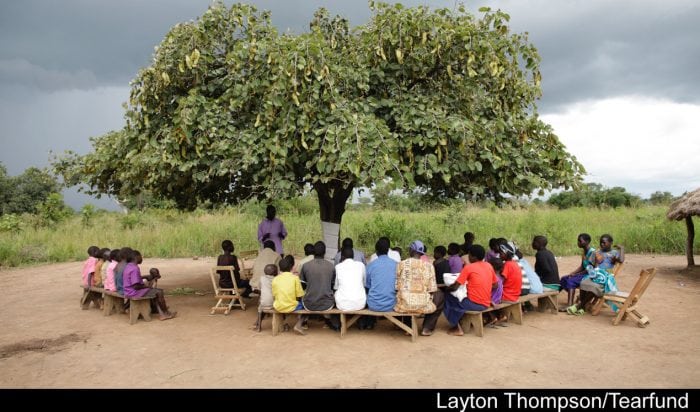 PAG-Uganda-Mango-tree-crop3-copy-700x412